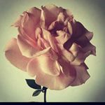 Profile Picture of GeorginaDyer (@robertadyer13) on Instagram