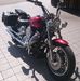 Profile Picture of Herbert Pressinger (@herbert.pressinger.3) on Facebook