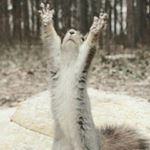 Nathan - Instagram Profile Picture of Nathan (@natekuhlmann) on Instagram