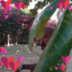 Profile Picture of Mathius Fondo Mathius (@Mathius-Fondo-Mathius) on Facebook