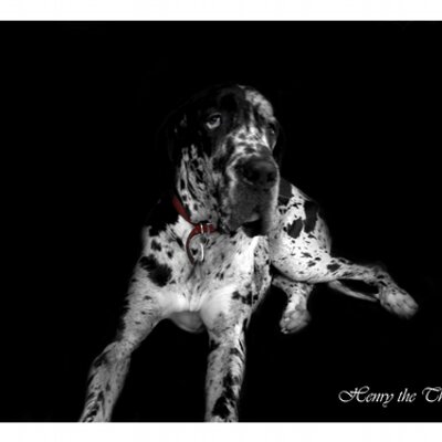 Profile Picture of Jennifer DSouza (@jenadsouza) on Twitter