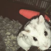 Profile Picture of Ruby Stevenson (@ruby-stevenson) on Quora