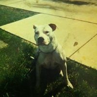 Profile Picture of Joe Tate (@joseph.tate1) on Myspace