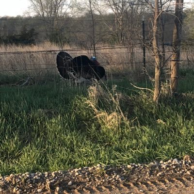 Profile Picture of Jason Cullison (@cully11) on Twitter