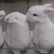 Profile Picture of Amber Clifford (@amberclifford7287) on Youtube