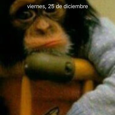 Profile Picture of Felix Arriaga (@FelixArriaga5) on Twitter