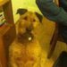 Profile Picture of Eleanor Ives (@Pretty1145) on Pinterest