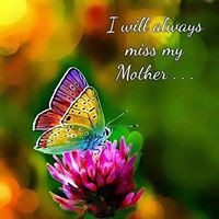 Profile Picture of Renee Finn (@renee-finn-1) on Quora