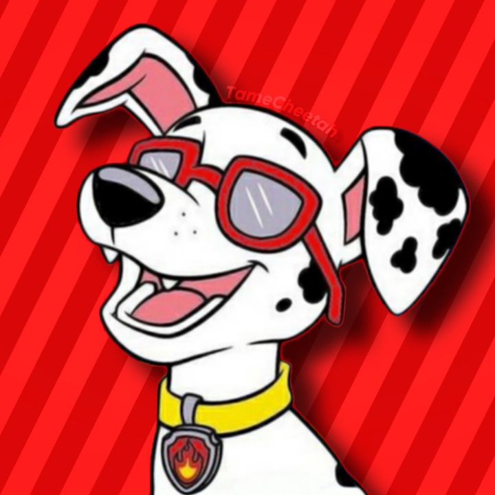 Profile Picture of TameCheetahBeats (@tamecheetahbeats) on Tiktok