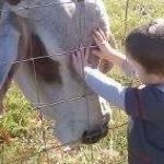 Profile Picture of Loretta Adcock (@lorettaadcock) on Instagram