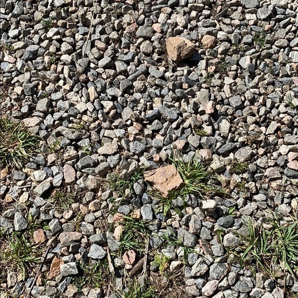 Profile Picture of Mike Briskey (@mabriskey6789) on Poshmark