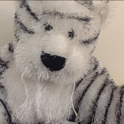 Profile Picture of Julian Connor (@KodiacConnor) on Twitter