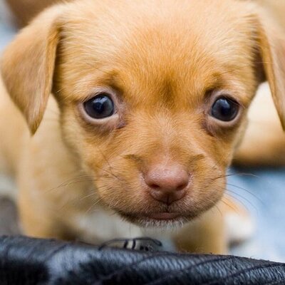 Profile Picture of Jenna Hocking (@HockingJenna) on Twitter