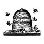Profile Picture of Honey & Wax Booksellers (@honeyandwaxbks) on Instagram