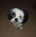 Profile Picture of Joseph Coppess (@joseph.coppess.9) on Facebook