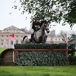 Profile Picture of Harriet Collins (@harrietcollins_eventing) on Instagram