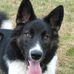 Profile Picture of Jan Potts (@jan.potts.18) on Facebook