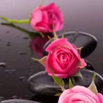 Profile Picture of Nora Colin (@nora.colin.37) on Facebook