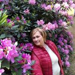 Profile Picture of Ambrus Stefánia (@jozsefnekaczor) on Instagram