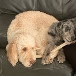 Profile Picture of Joe Birkner (@jbirkner10) on Instagram