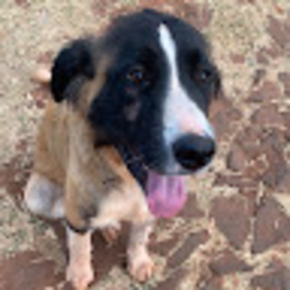 Profile Picture of Isabel Guzman (@isabelguzman293) on Poshmark