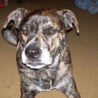 Profile Picture of Sherman Bradley (@sherman.bradley.7) on Facebook