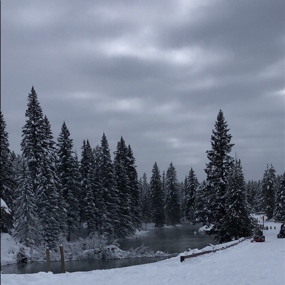 Profile Picture of Alexis Helgeson (@a_helgeson) on Poshmark