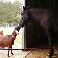 Profile Picture of Pat Allen (@pat-allen-49) on Quora