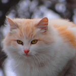 Profile Picture of jillian stevenson (@stevenson9232xf) on Instagram