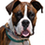 Jackedh - Flickr Profile Picture of Jackedh (@jackedh) on Flickr