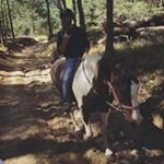 Profile Picture of David Merle (@davidmerle3709) on Instagram