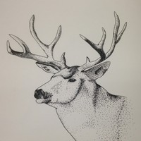 Profile Picture of Bryan Woolard Iv (@bryan-woolard-iv) on Quora