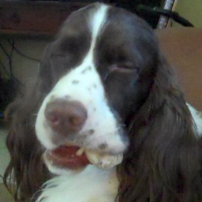 Profile Picture of Jim Sperry (@miniestate) on Twitter