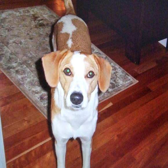 Allen Easterly - Poshmark Profile Picture of Allen Easterly (@easttn) on Poshmark