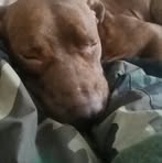 Profile Picture of Braden Richard Boice (@braden.r.boice) on Facebook