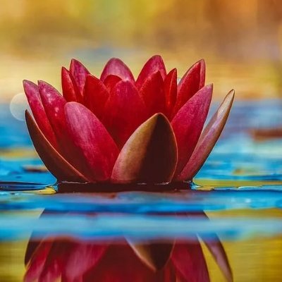 Profile Picture of Sharmin Akter (@Sharmin22389215) on Twitter