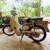 Profile Picture of Thap Bui (@thap.bui.1656) on Facebook