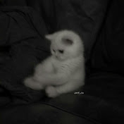 Profile Picture of Nehila Art And Craft (@Lost_Soul-n7Y) on Youtube