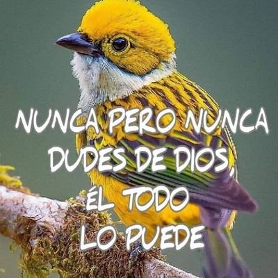 Profile Picture of Carlos Medinaceli Claure (@CarlosMedinace1) on Twitter