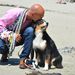 Profile Picture of Brad Pattison Pet Wellness (@Bradpattisonpetwellness) on Pinterest