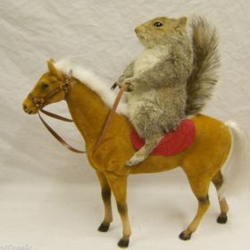 Profile Picture of Kevin Wightman (@kkwightman) on Pinterest