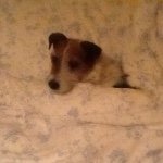 David Slight - Instagram Profile Picture of David Slight (@david_slight123) on Instagram