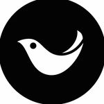 Profile Picture of White Leaf® tissue paper brand (@whiteleaf_tissue_) on Instagram