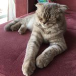 Profile Picture of Michael (@michaelhorizon01) on Instagram