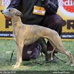 Profile Picture of Debasish Bhattacharya (@debasish.bhattacharya.524) on Instagram