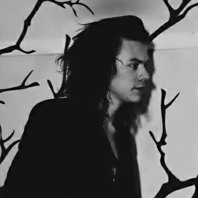 Profile Picture of ☻cher//wolves☻ (@ThrustinHoran) on Twitter