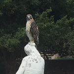 Profile Picture of Doreen Corrigan Moore (@domomama70) on Instagram