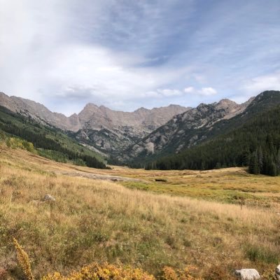 Profile Picture of David Everest (@davideverest) on Twitter