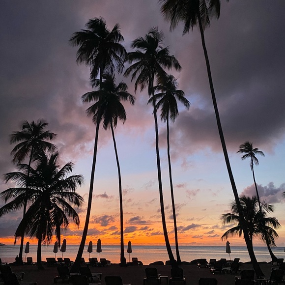 Profile Picture of Paulina Marxuach (@pmarxuach_) on Poshmark