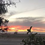 Profile Picture of Sheri Coleman (@pilates_mamaof3) on Instagram